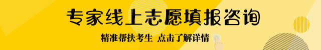 升空教育 专家线上志愿填报咨询