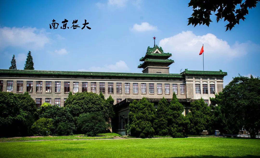 南京农业大学""