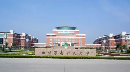 西北农林科技大学