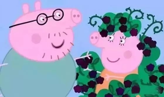 小猪佩奇